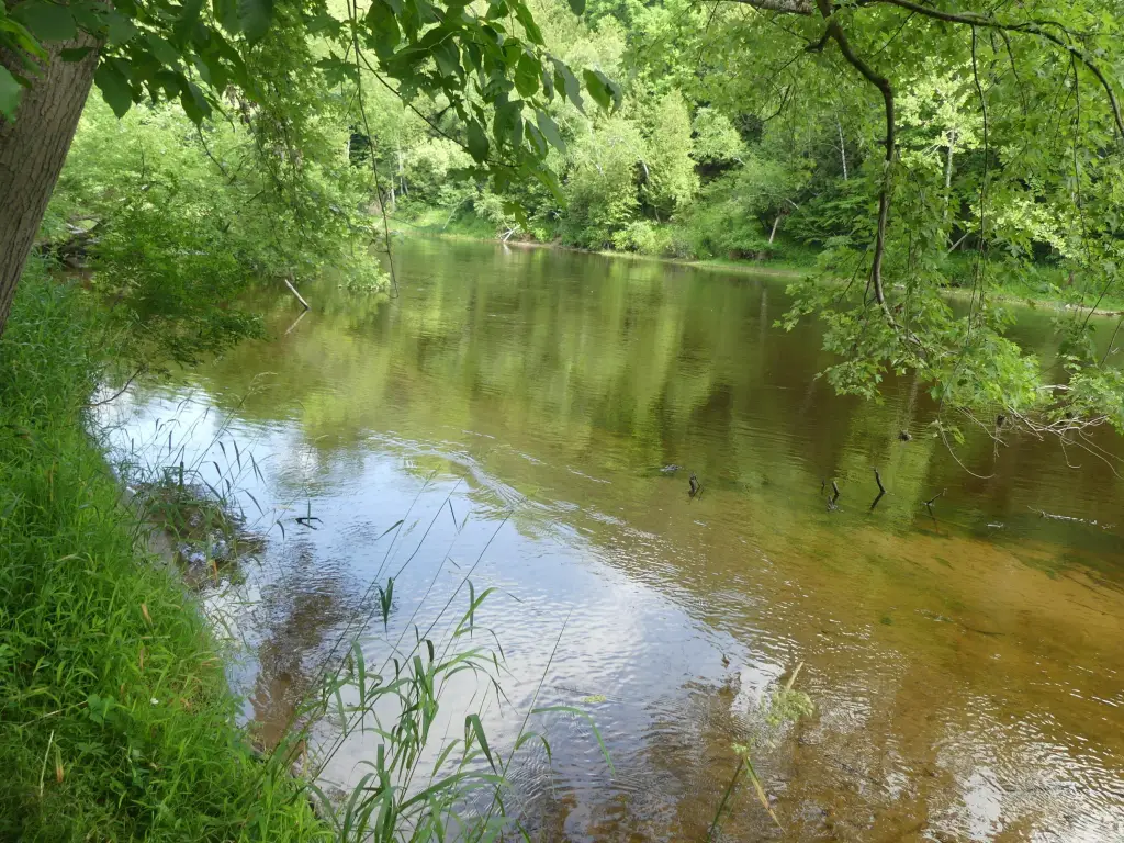 Picture 2