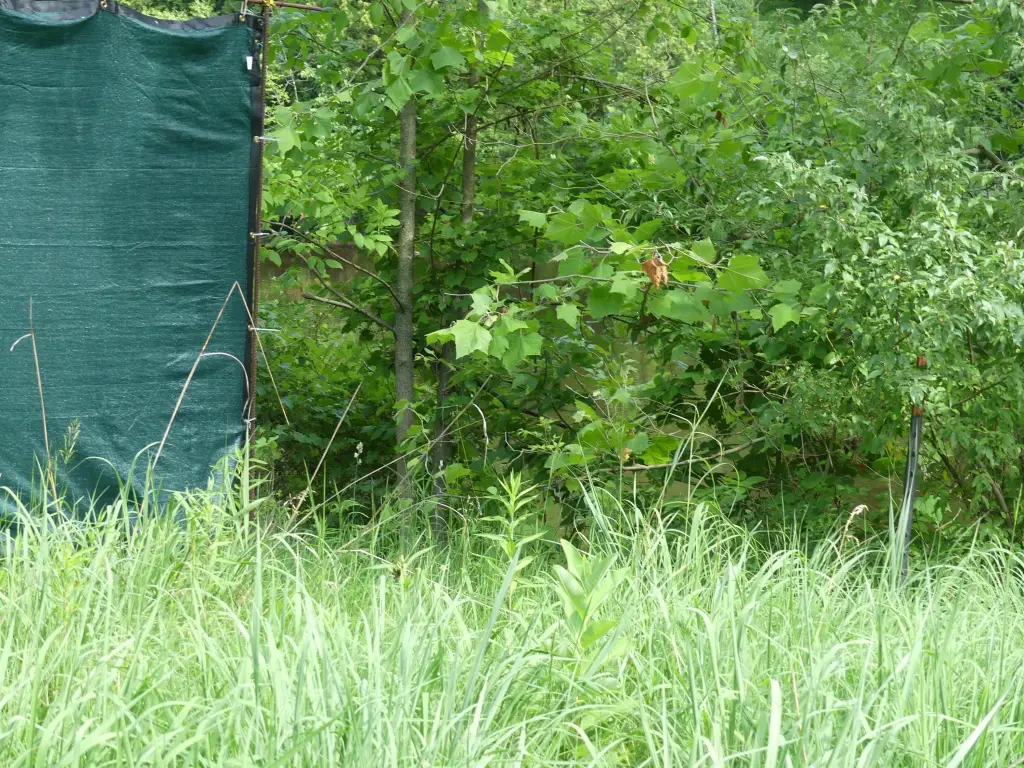 Picture 13