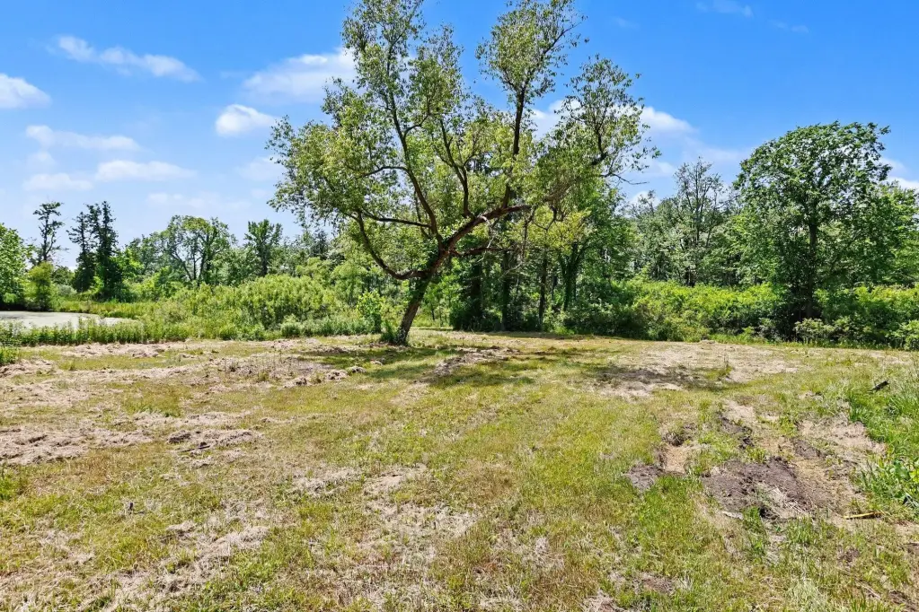 Picture 7