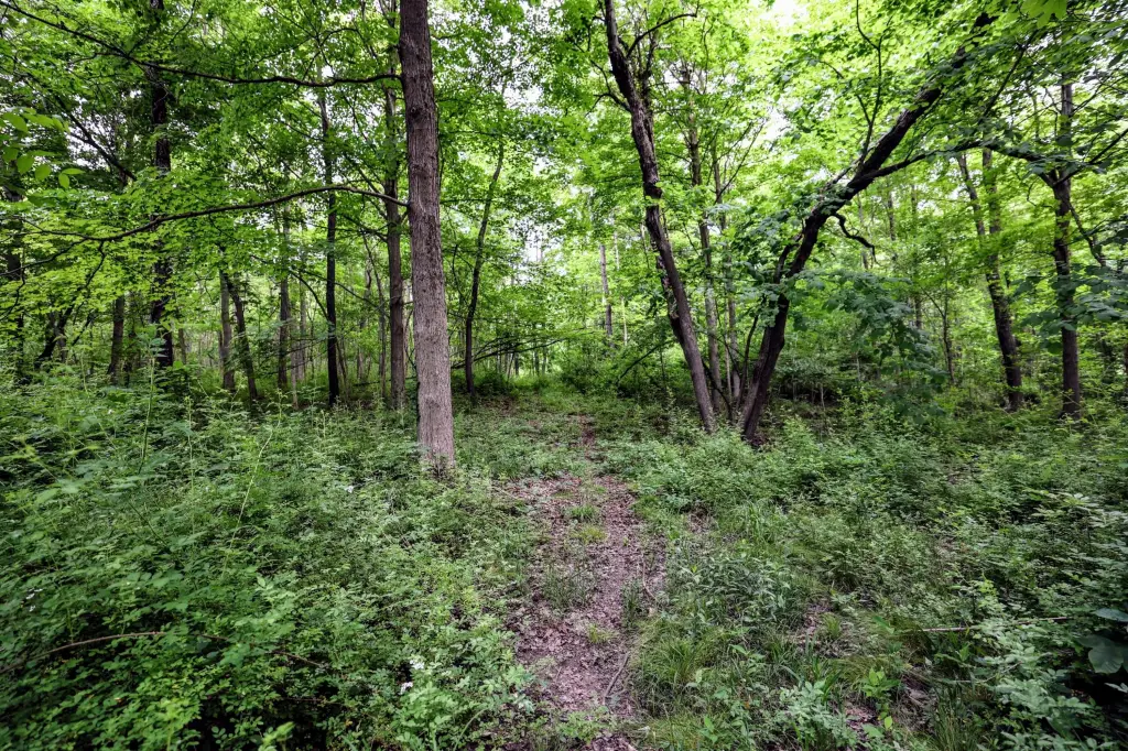 Picture 5