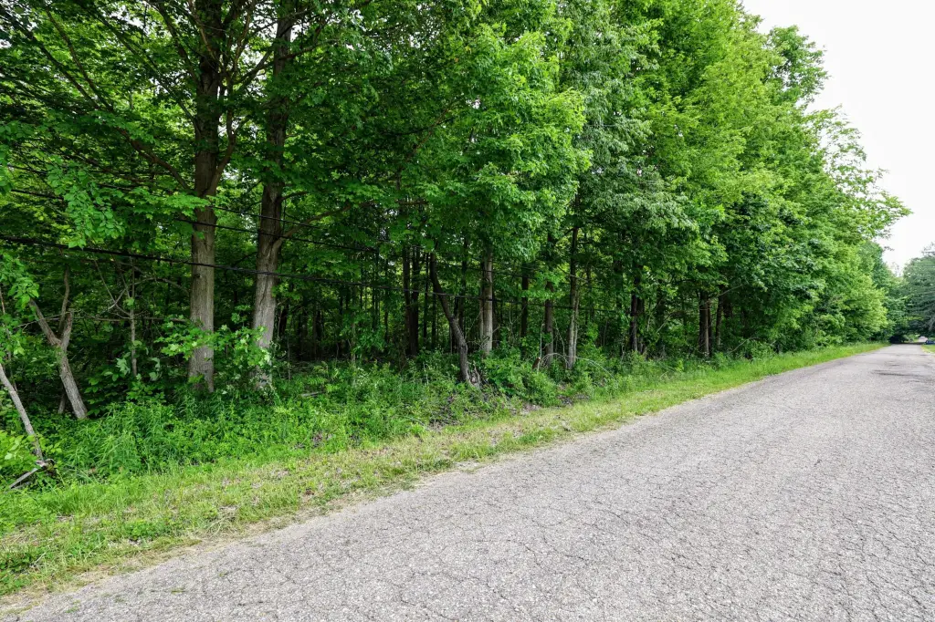 Picture 21