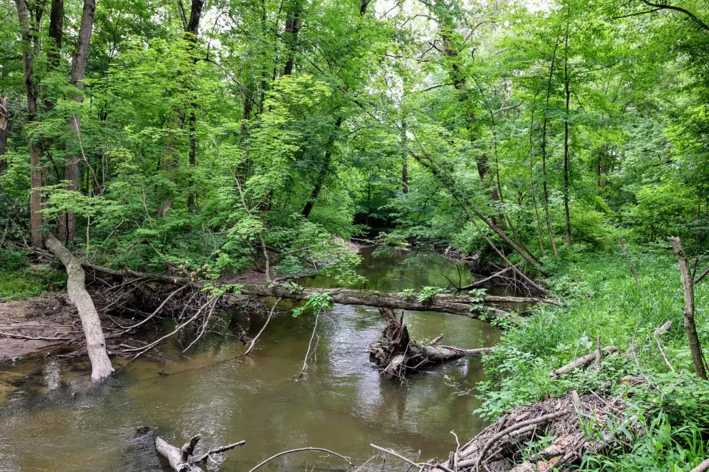 Picture 37