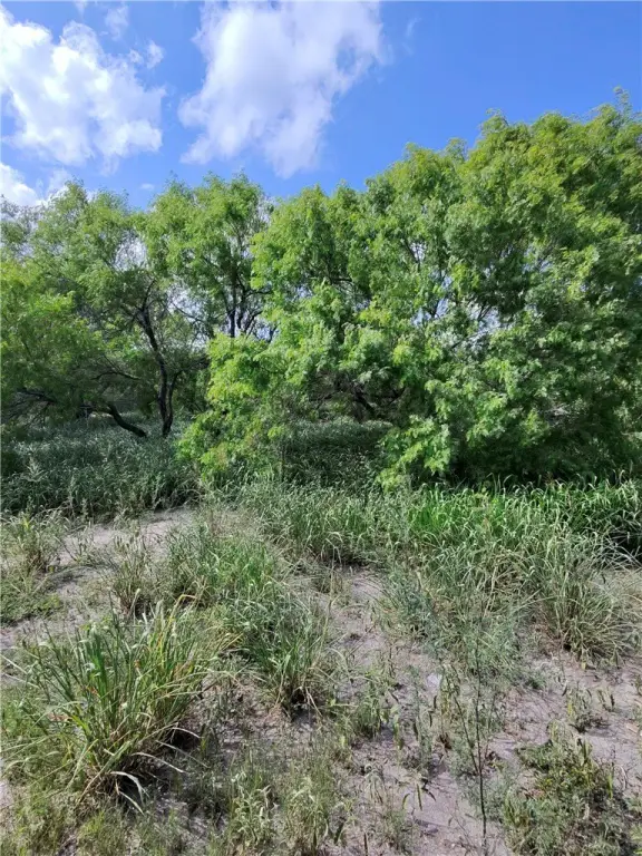 Picture 9