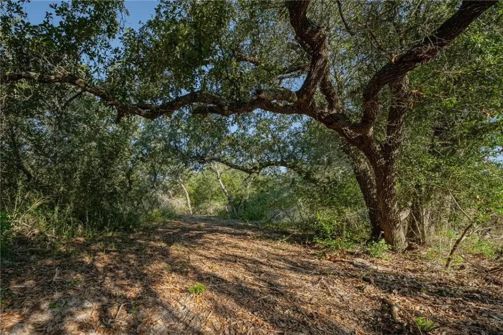 Picture 14