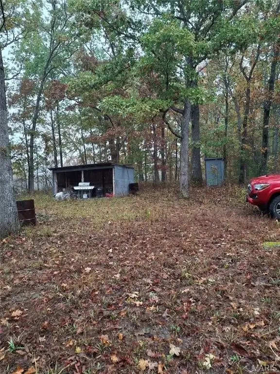 Picture 11