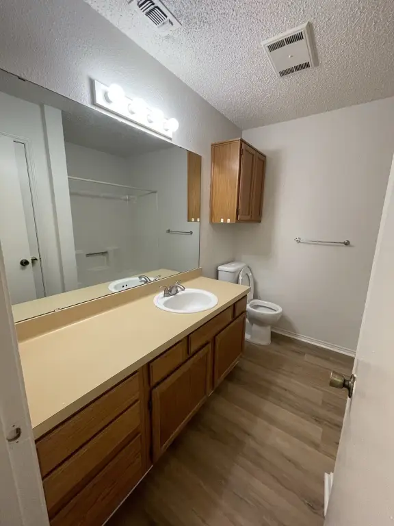 Picture 15