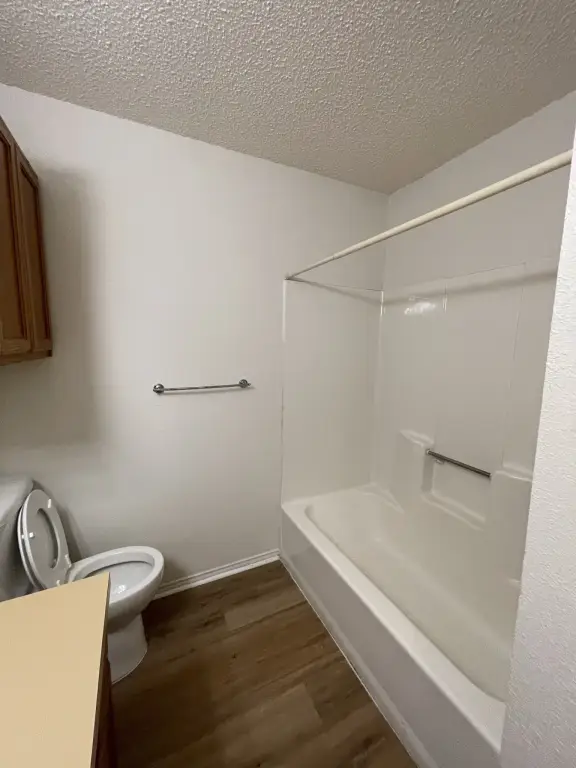 Picture 16