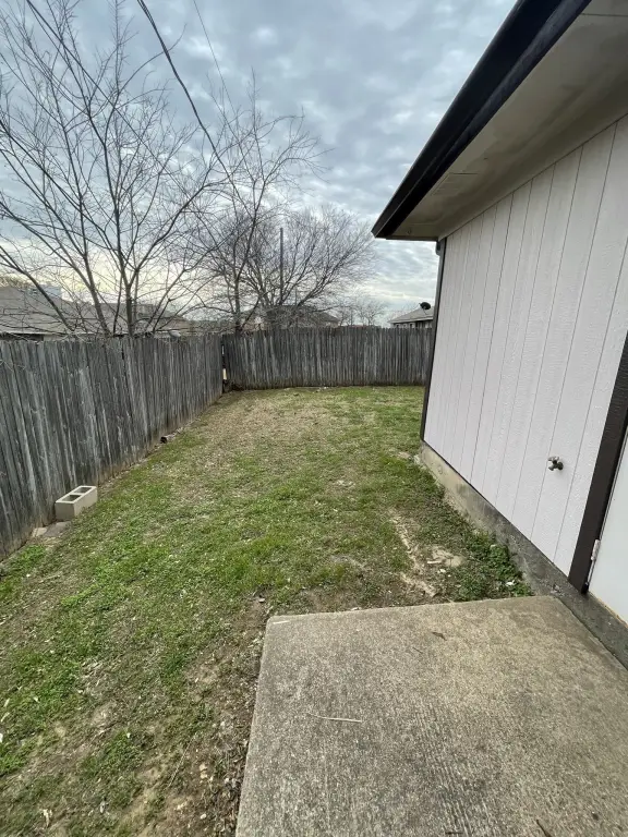 Picture 12