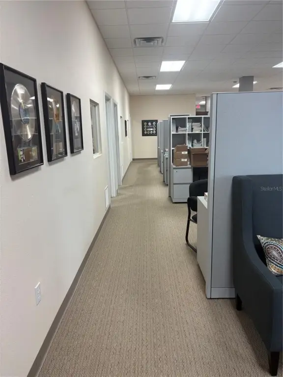 Picture 16