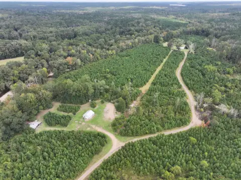 354-Acre Hunting Land in Hazlehurst