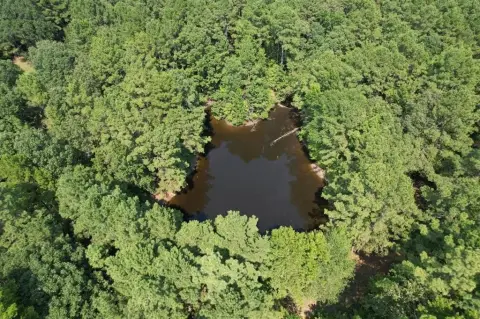 Timber Investment and Recreational Tract