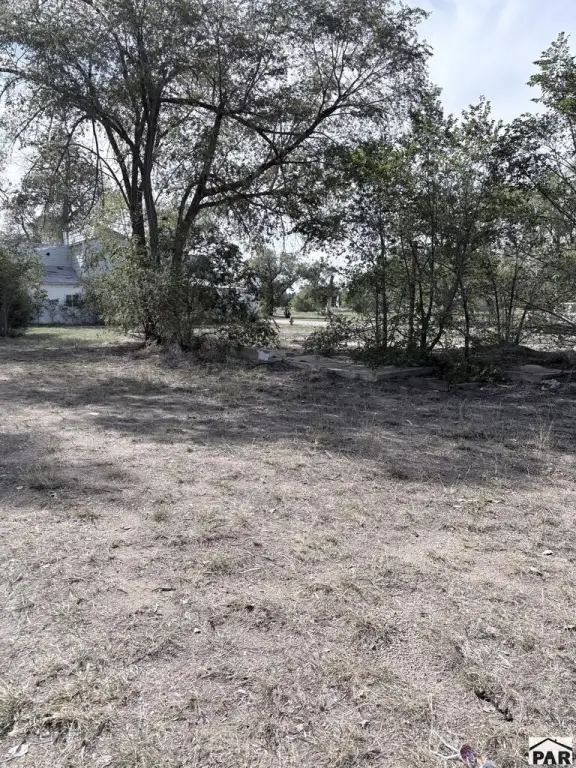 Picture 3