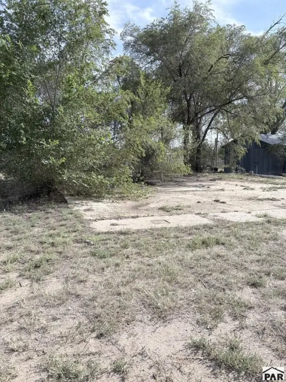 Picture 5