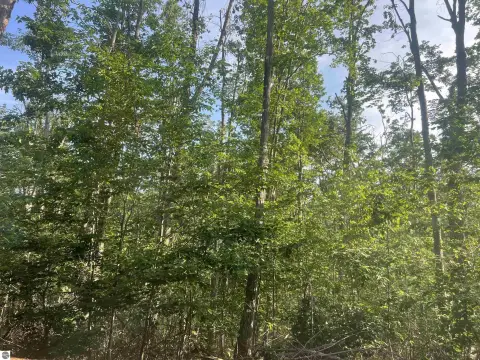 Heavily Wooded Corner Lot