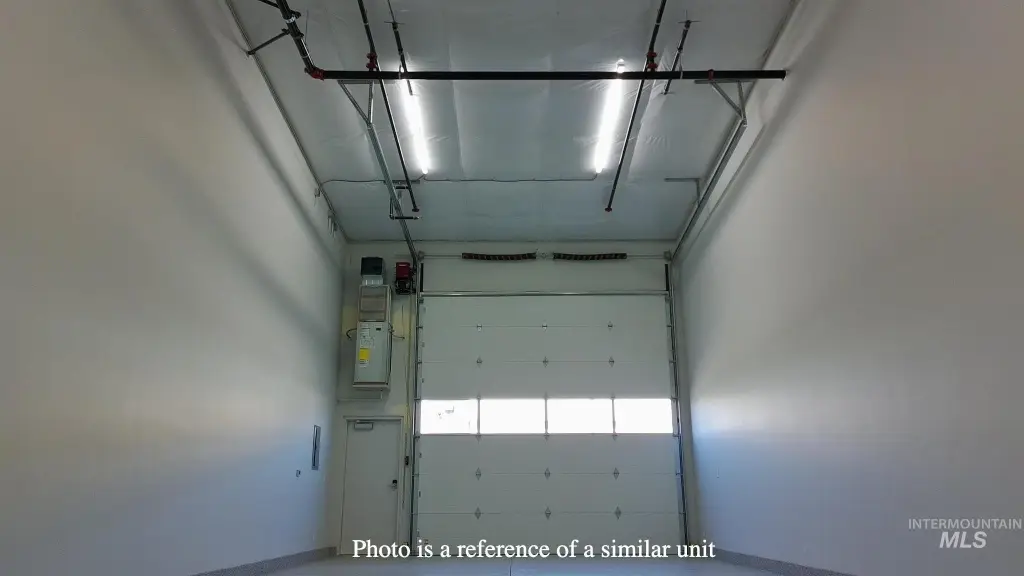 Picture 5
