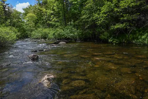 Waterfront Land in Sandy River