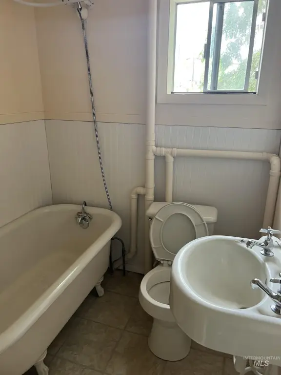 Picture 24