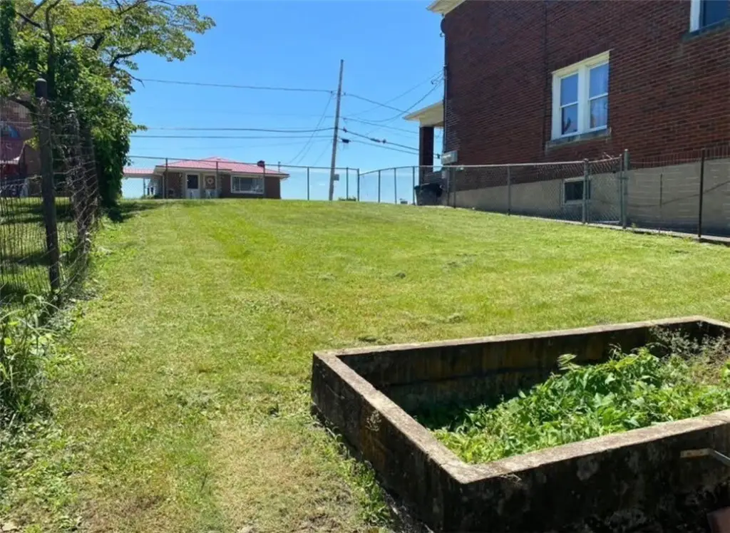Picture 5
