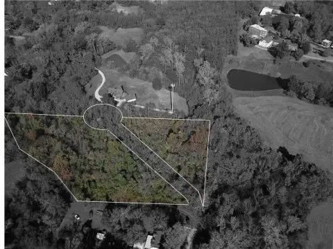 Wooded Land Ready For Development