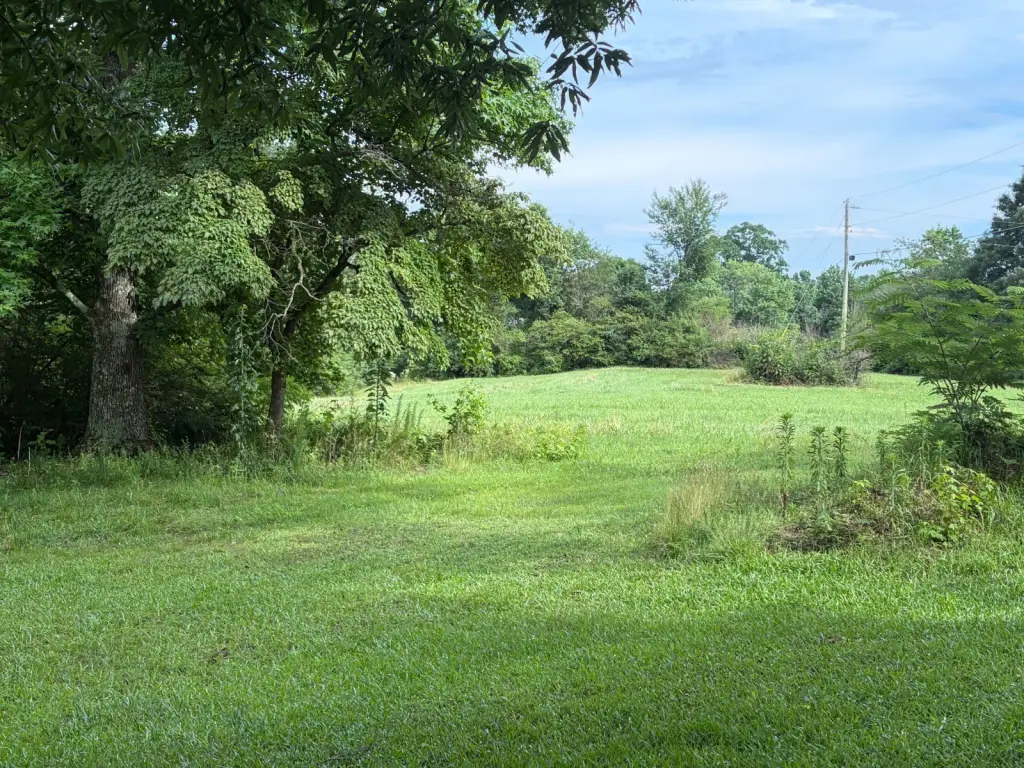 Picture 2