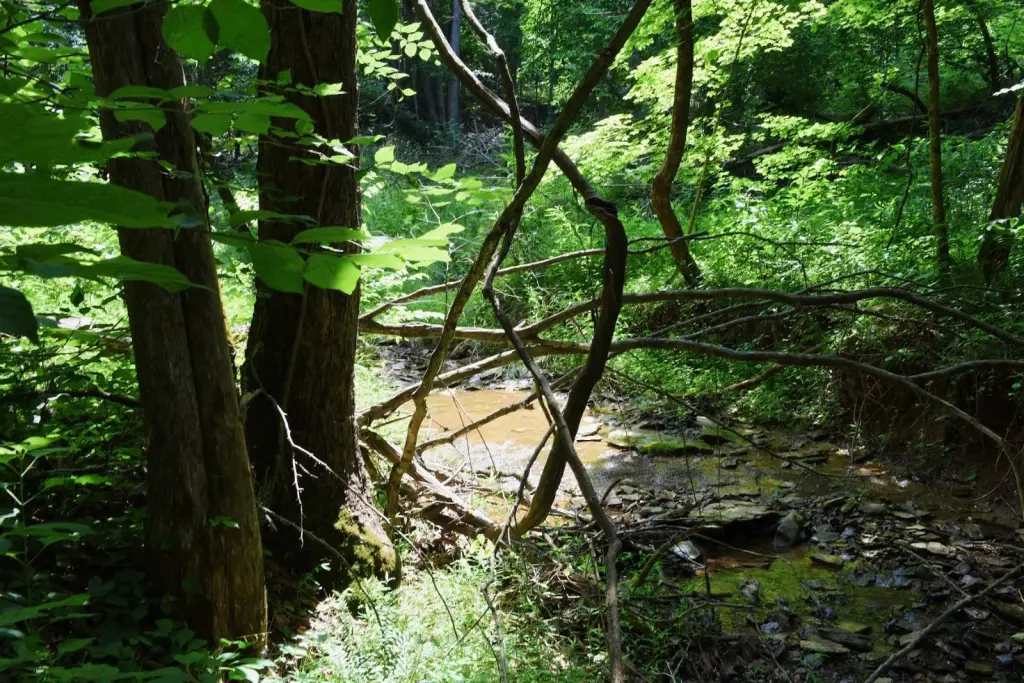 Picture 14