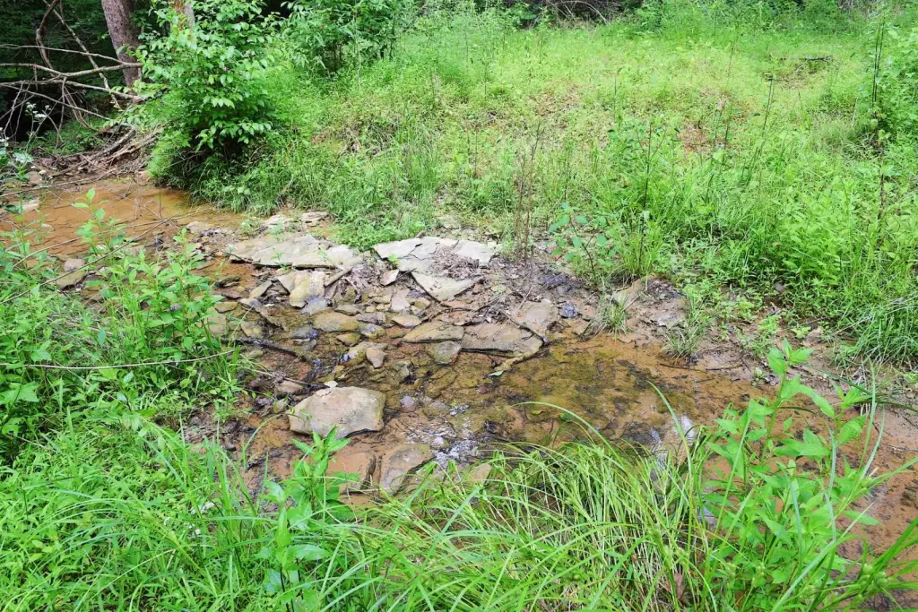 Picture 15