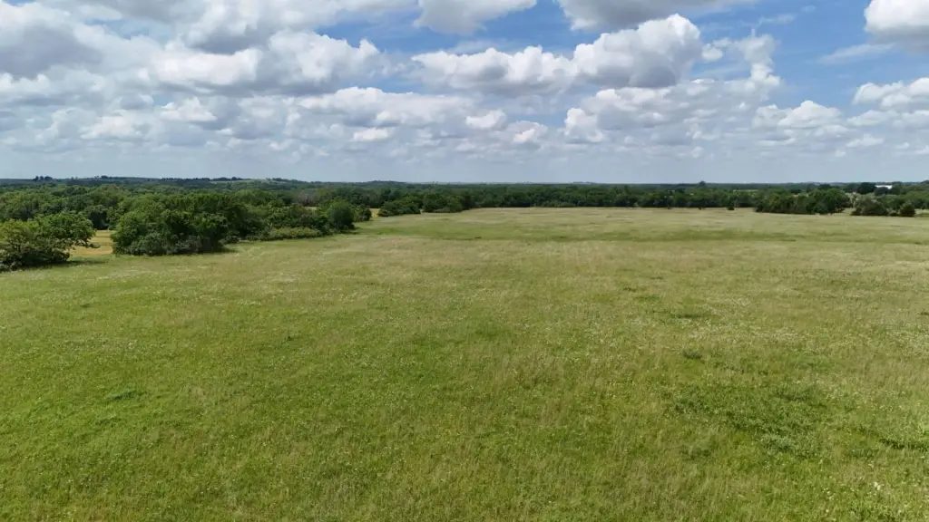 Picture 29