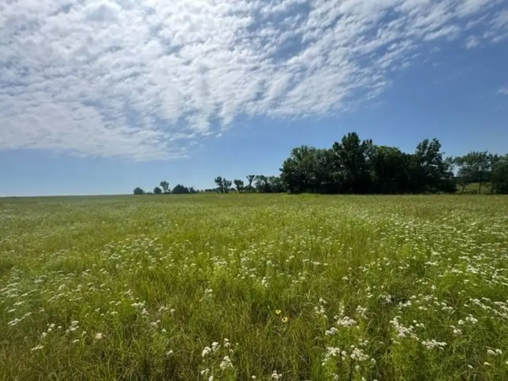 Picture 41