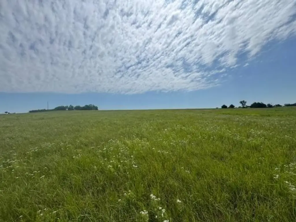 Picture 40