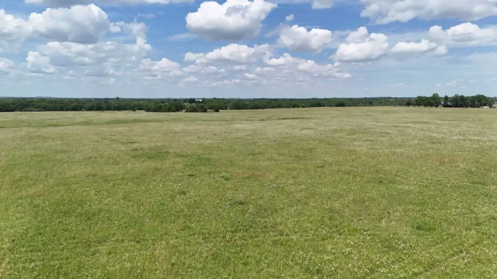 Picture 28