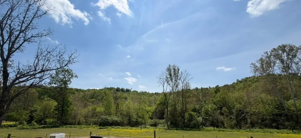 Picture 24