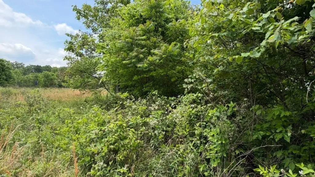 Picture 10