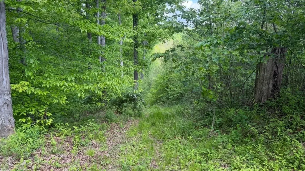 Picture 12