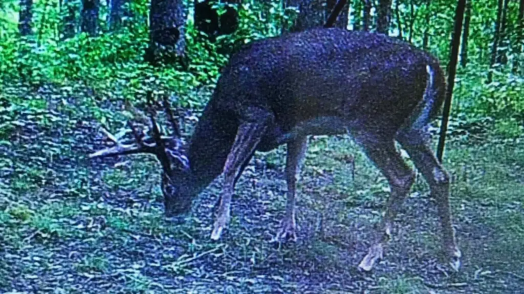 Picture 6