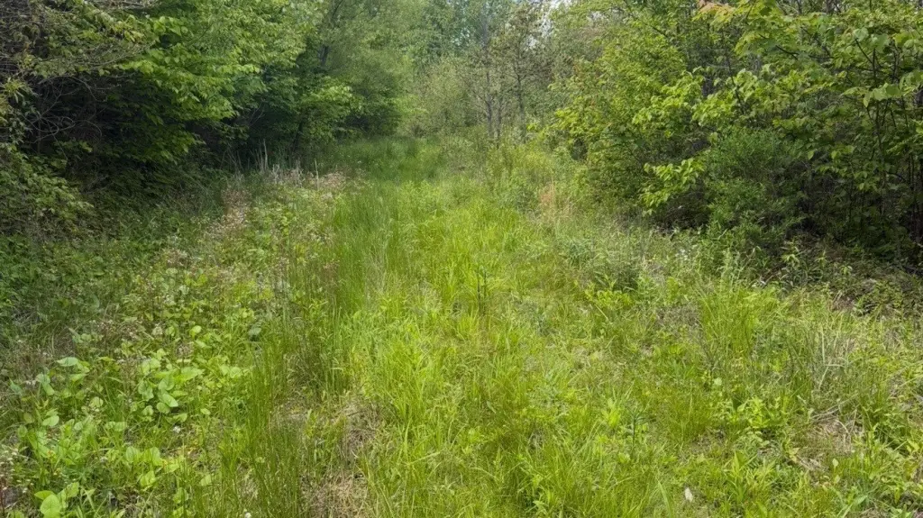 Picture 19