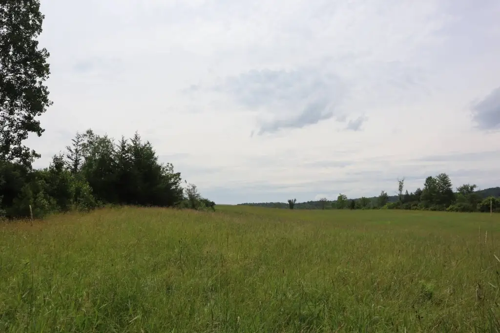 Picture 24