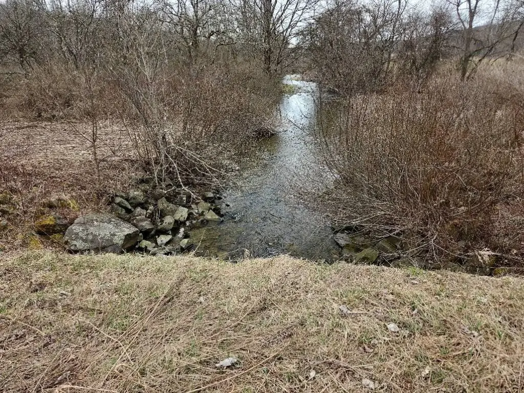 Picture 7