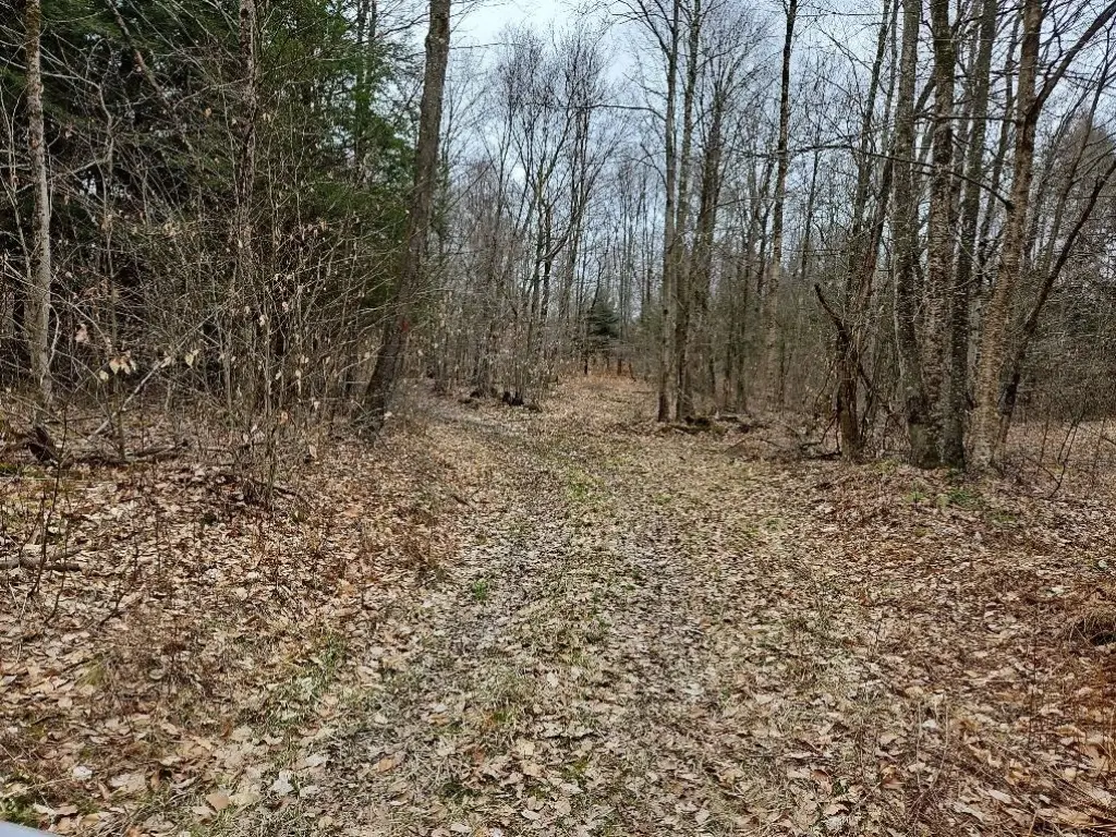 Picture 69