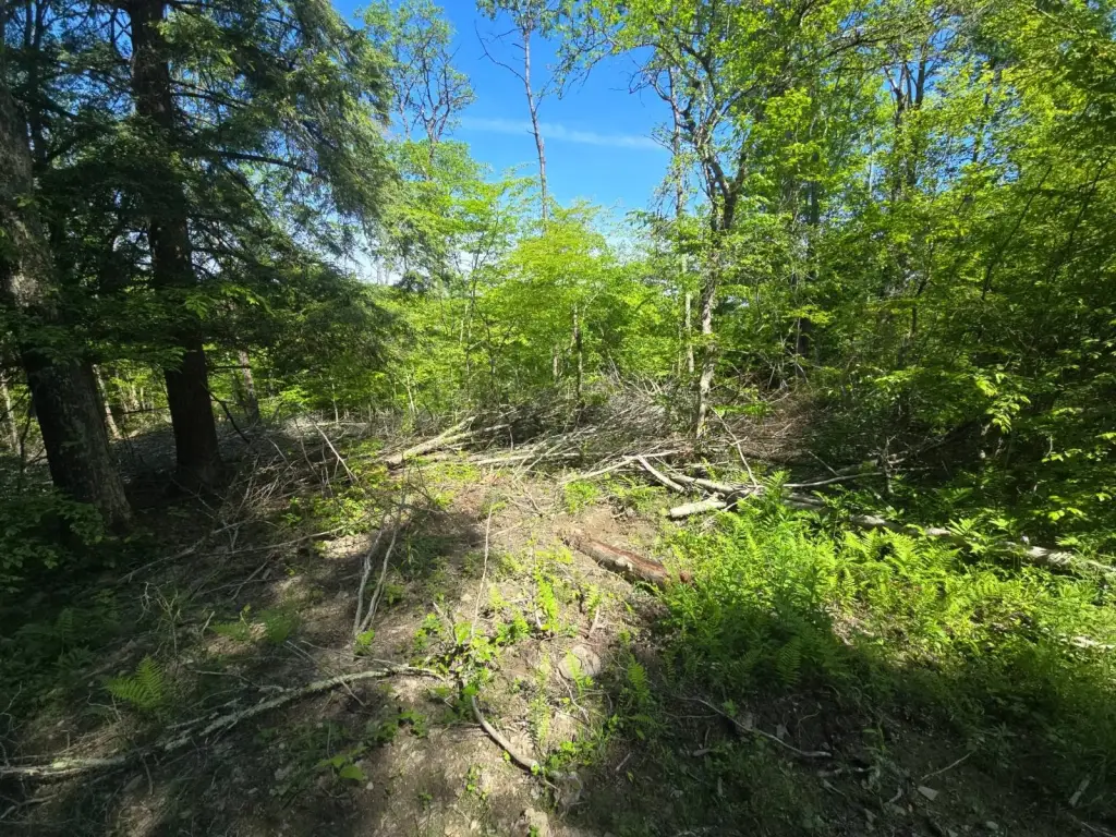 Picture 21