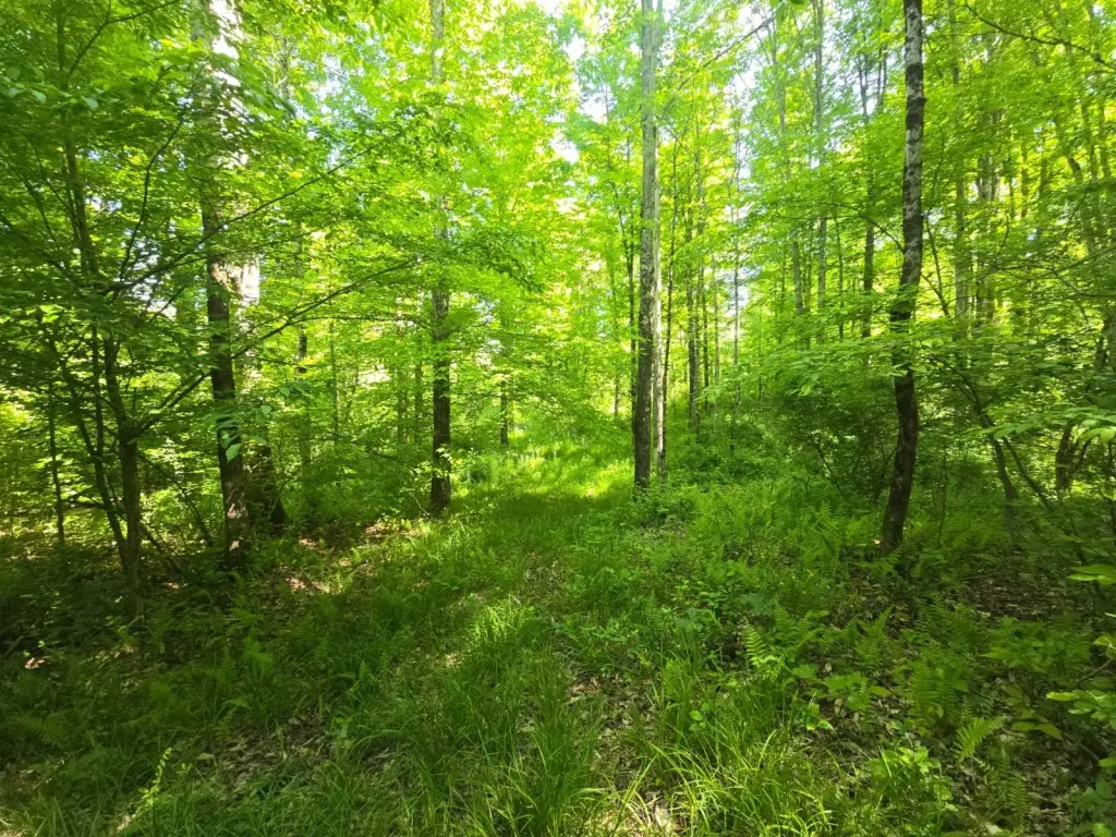 Picture 17