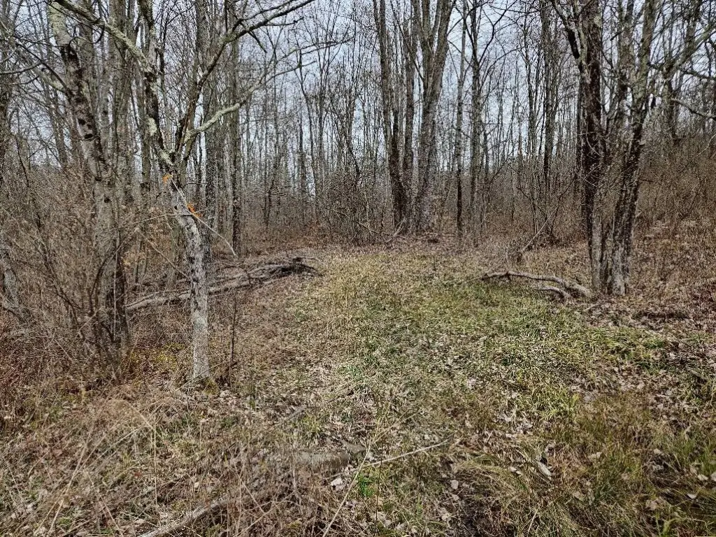 Picture 8