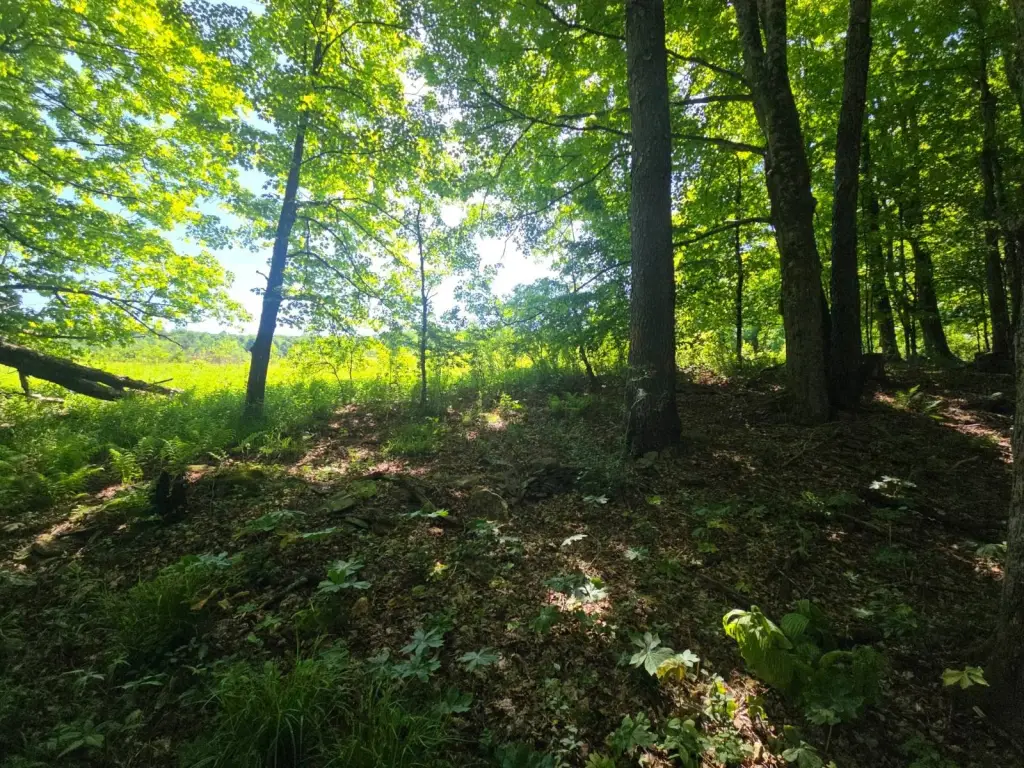 Picture 20