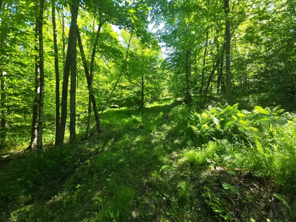 Picture 25