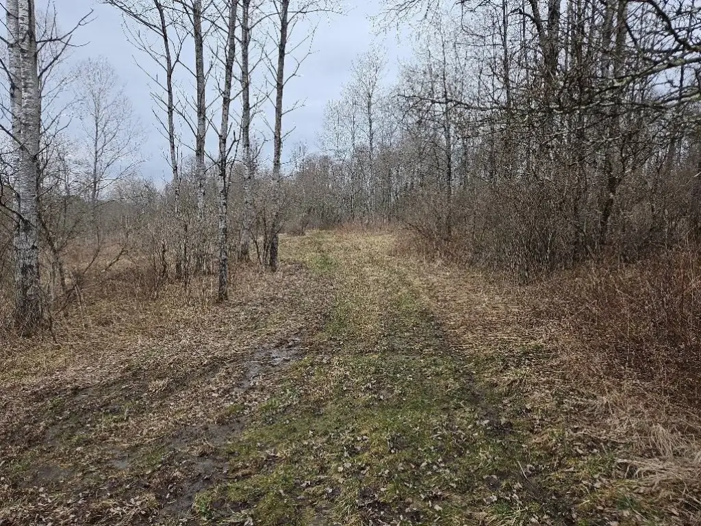 Picture 63