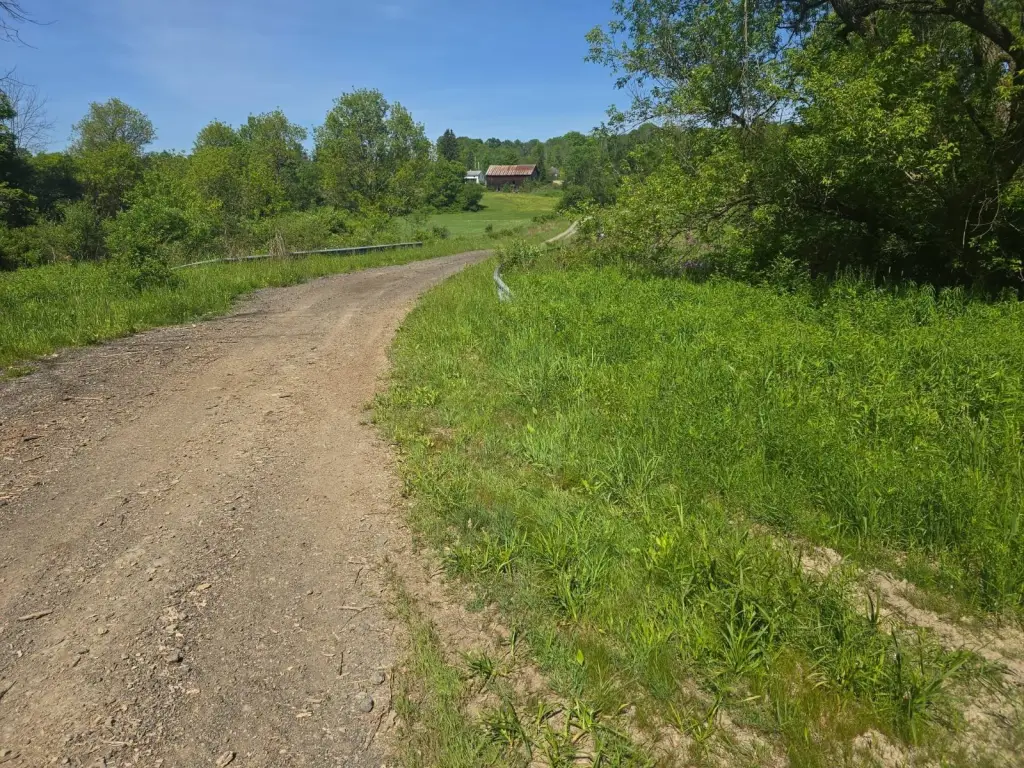 Picture 9