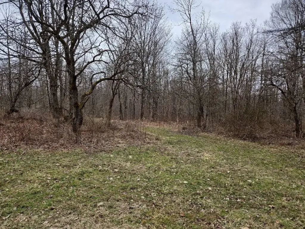 Picture 68