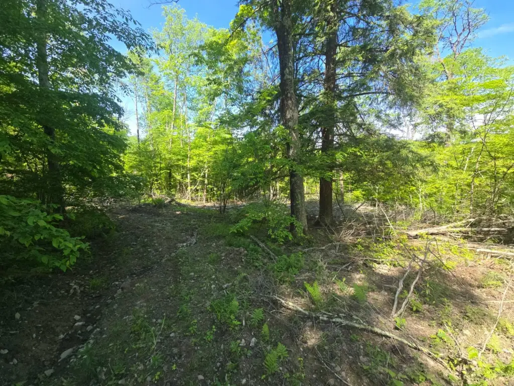 Picture 22