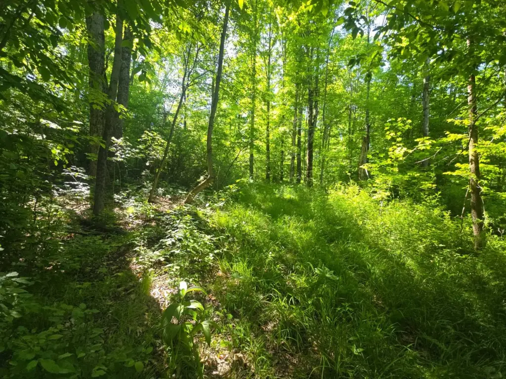 Picture 18