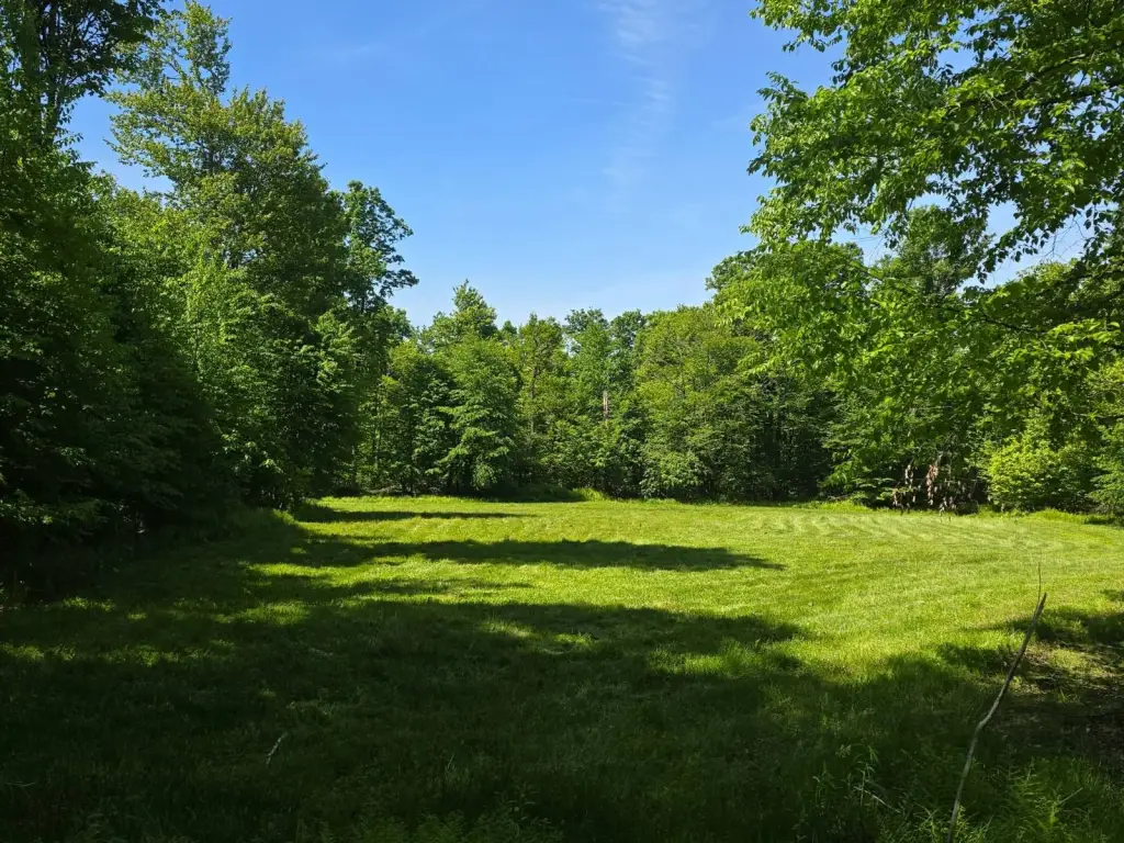 Picture 33