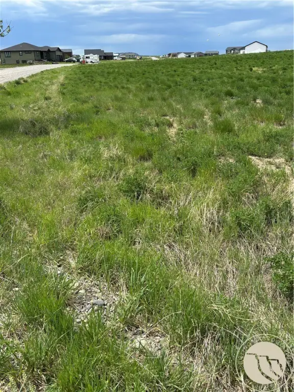 Picture 4